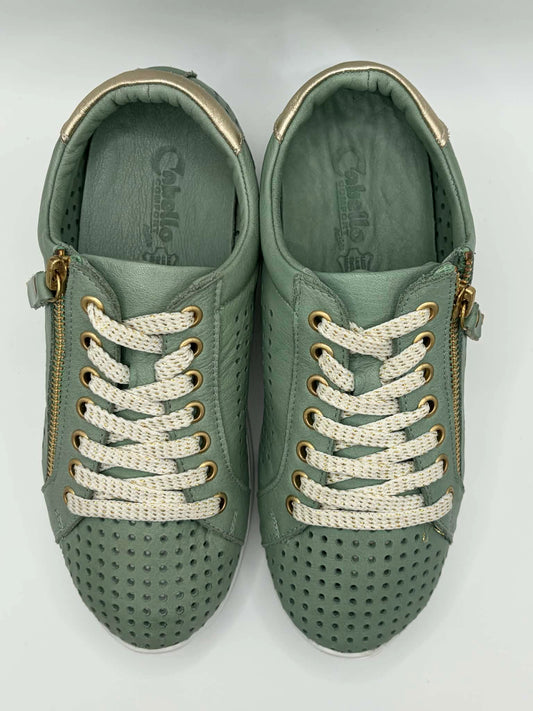 EG256 Emerald
