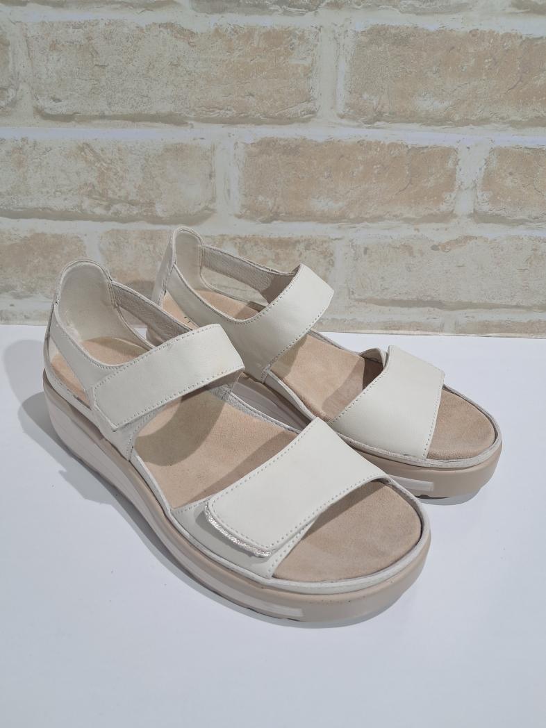 Happy Bone/Soft Gold