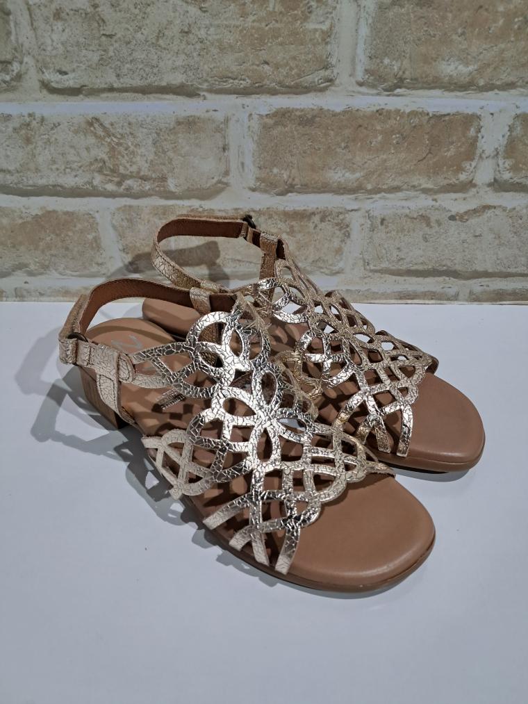 Hilite Champagne by Zeta