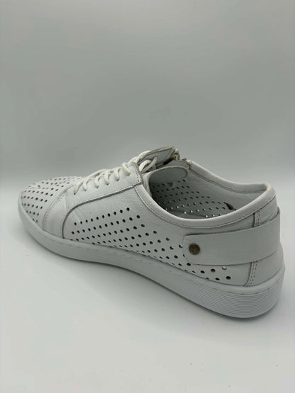 EG17 White