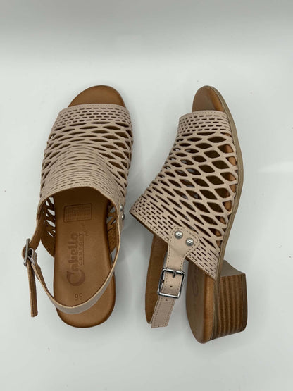 Alaca Beige