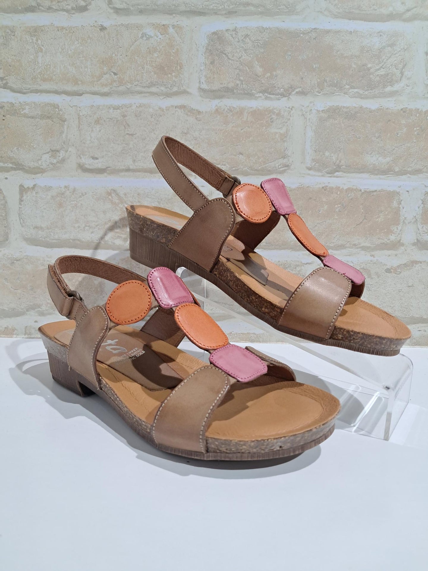 Ivanna Avellana/Pink/Coral by Zeta