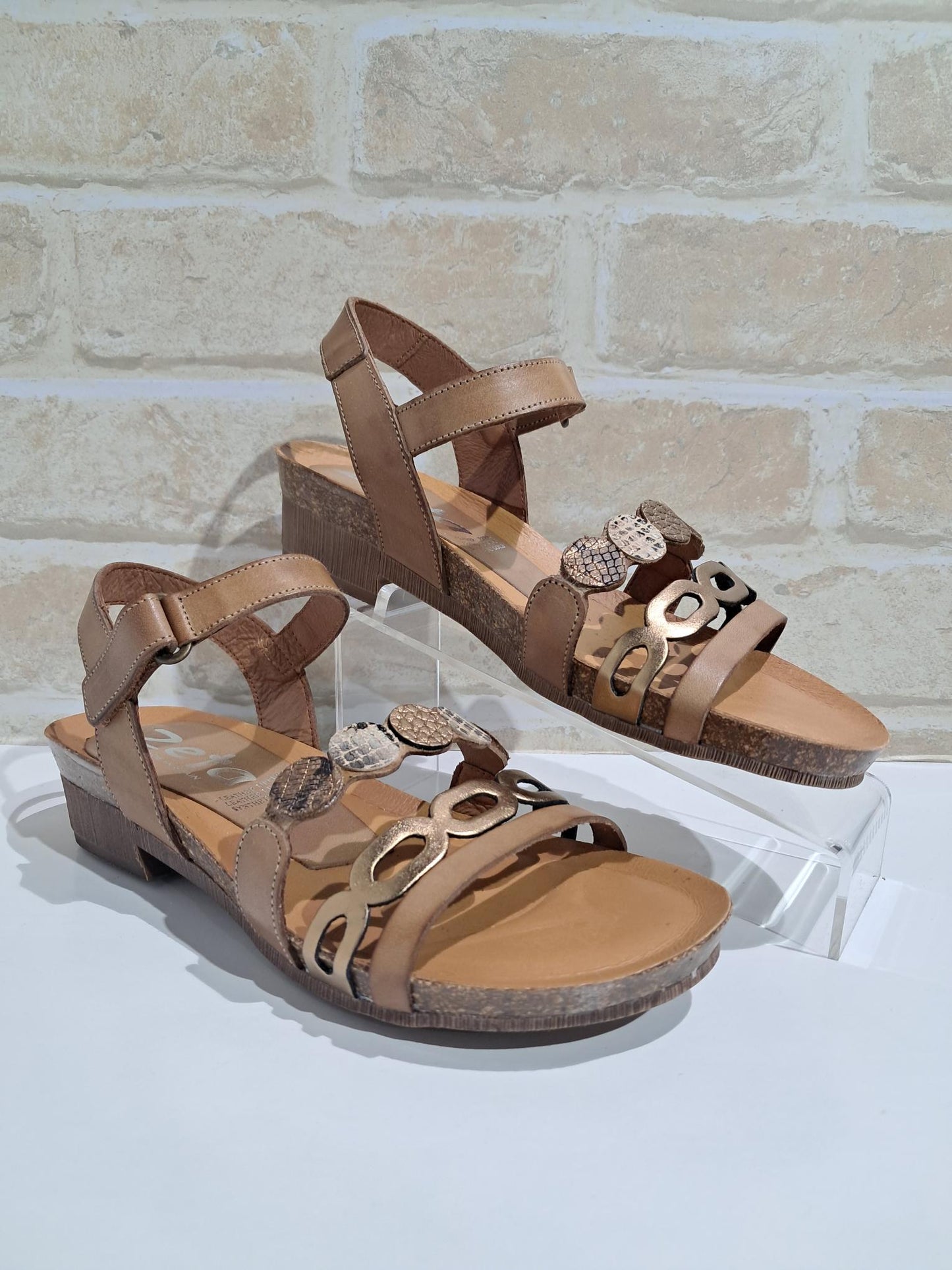 Idalia Avellana/Bronce/Multi