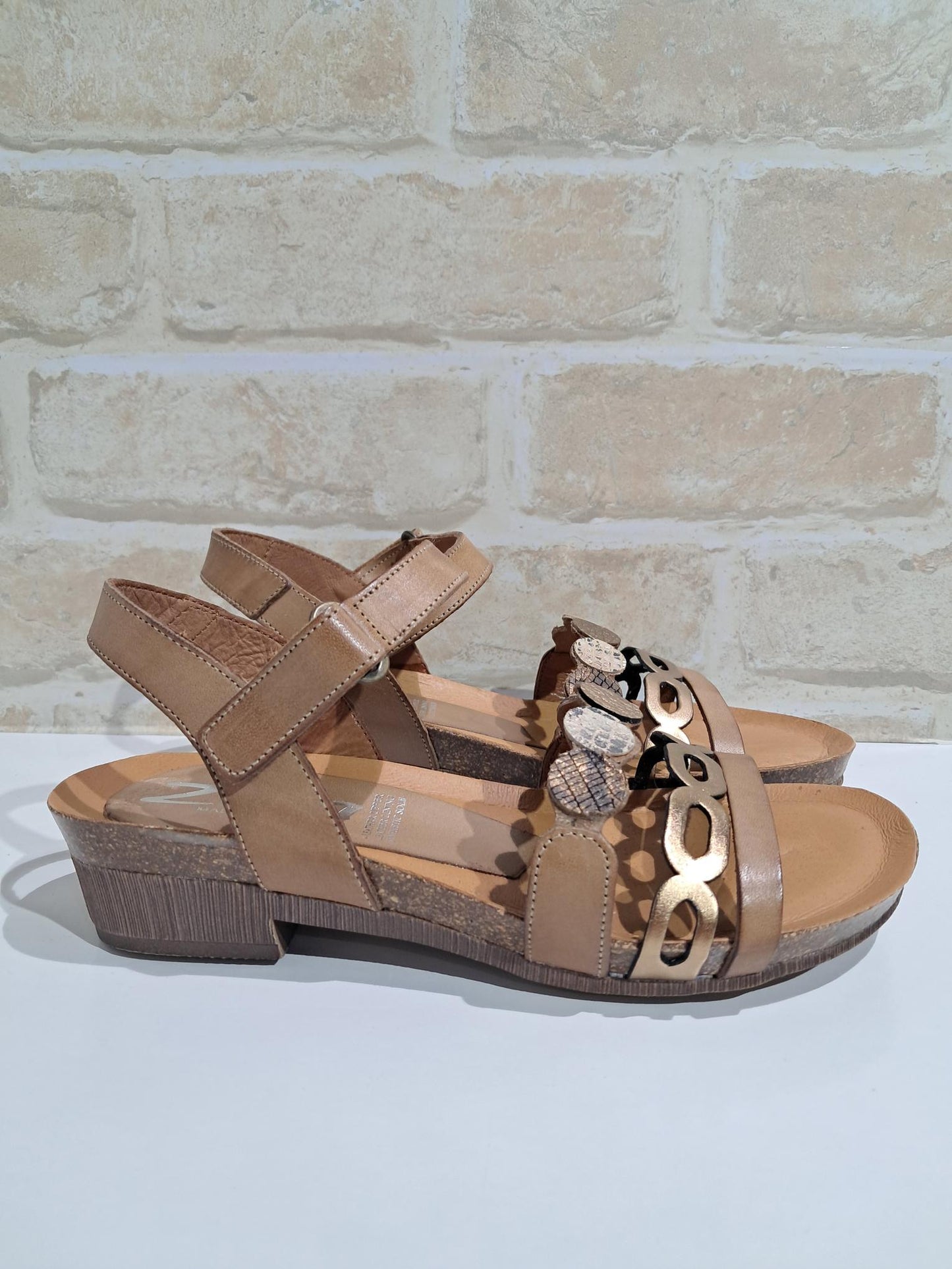 Idalia Avellana/Bronce/Multi