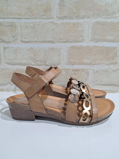 Idalia Avellana/Bronce/Multi