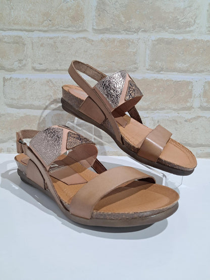 Rallar Avellana/Cava/Bruciato