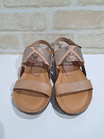 Rallar Avellana/Cava/Bruciato