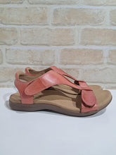Load image into Gallery viewer, The Show Bruschetta By Taos
