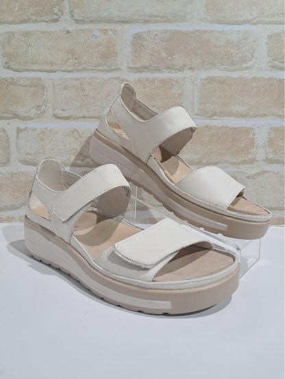 Happy Bone/Soft Gold