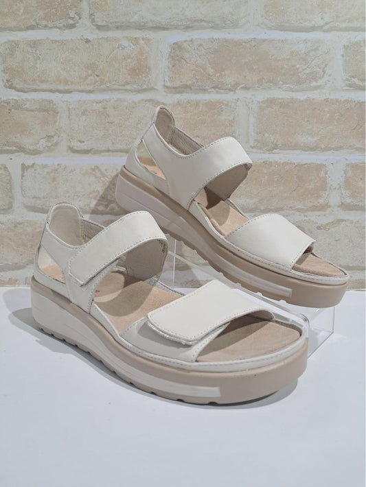 Happy Bone/Soft Gold