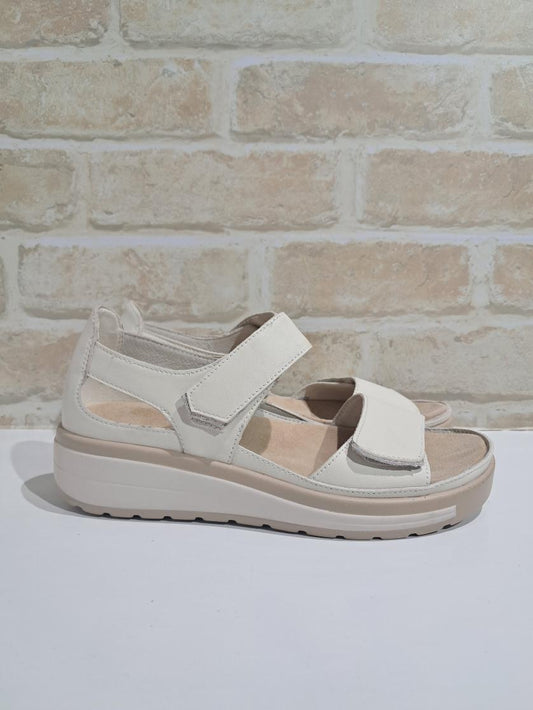 Happy Bone/Soft Gold