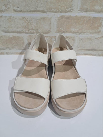 Happy Bone/Soft Gold