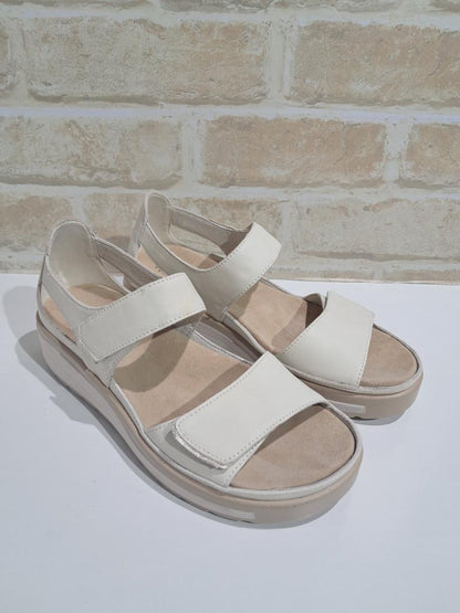 Happy Bone/Soft Gold