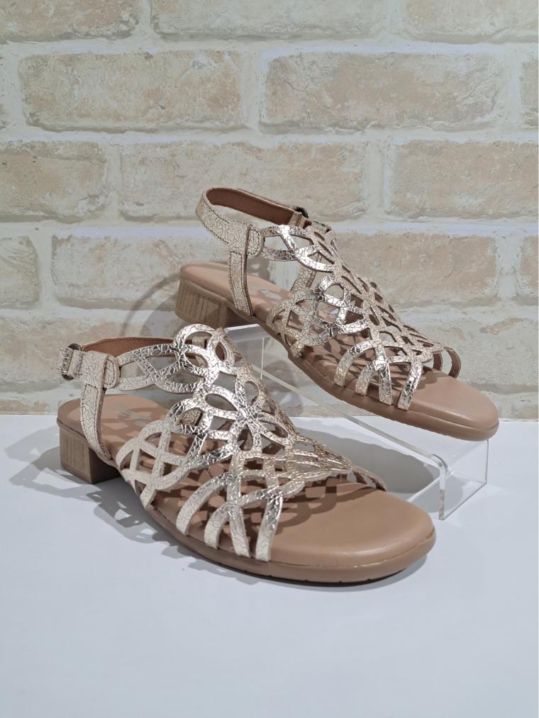 Hilite Champagne by Zeta