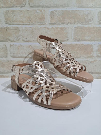 Hilite Champagne by Zeta