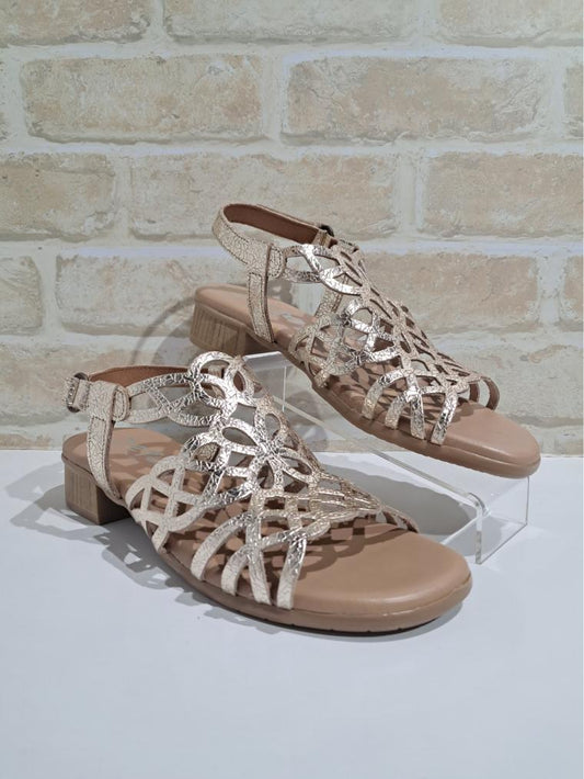 Hilite Champagne by Zeta