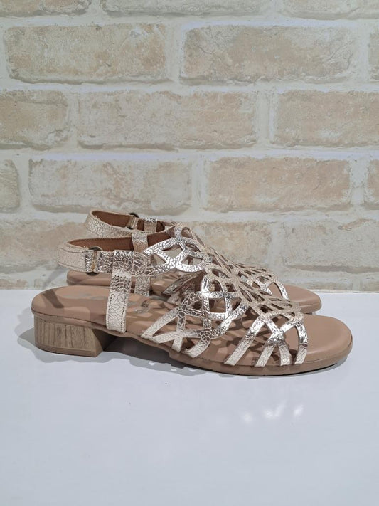 Hilite Champagne by Zeta