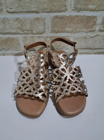 Hilite Champagne by Zeta