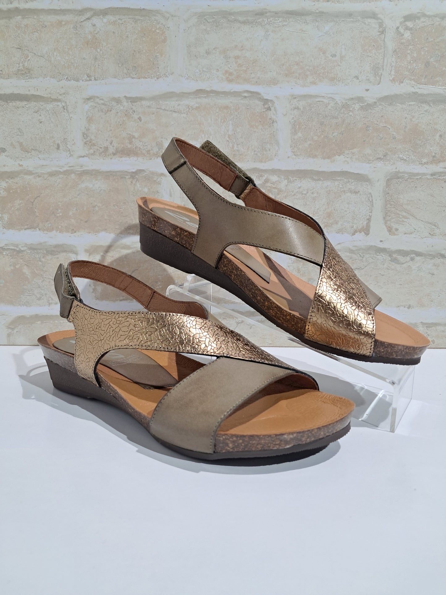 Orion Palma/Ceres/Bronce