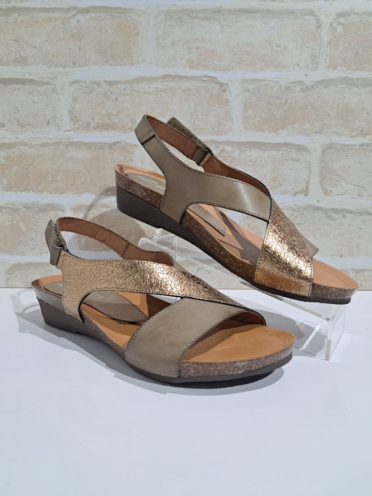 Orion Palma/Ceres/Bronce