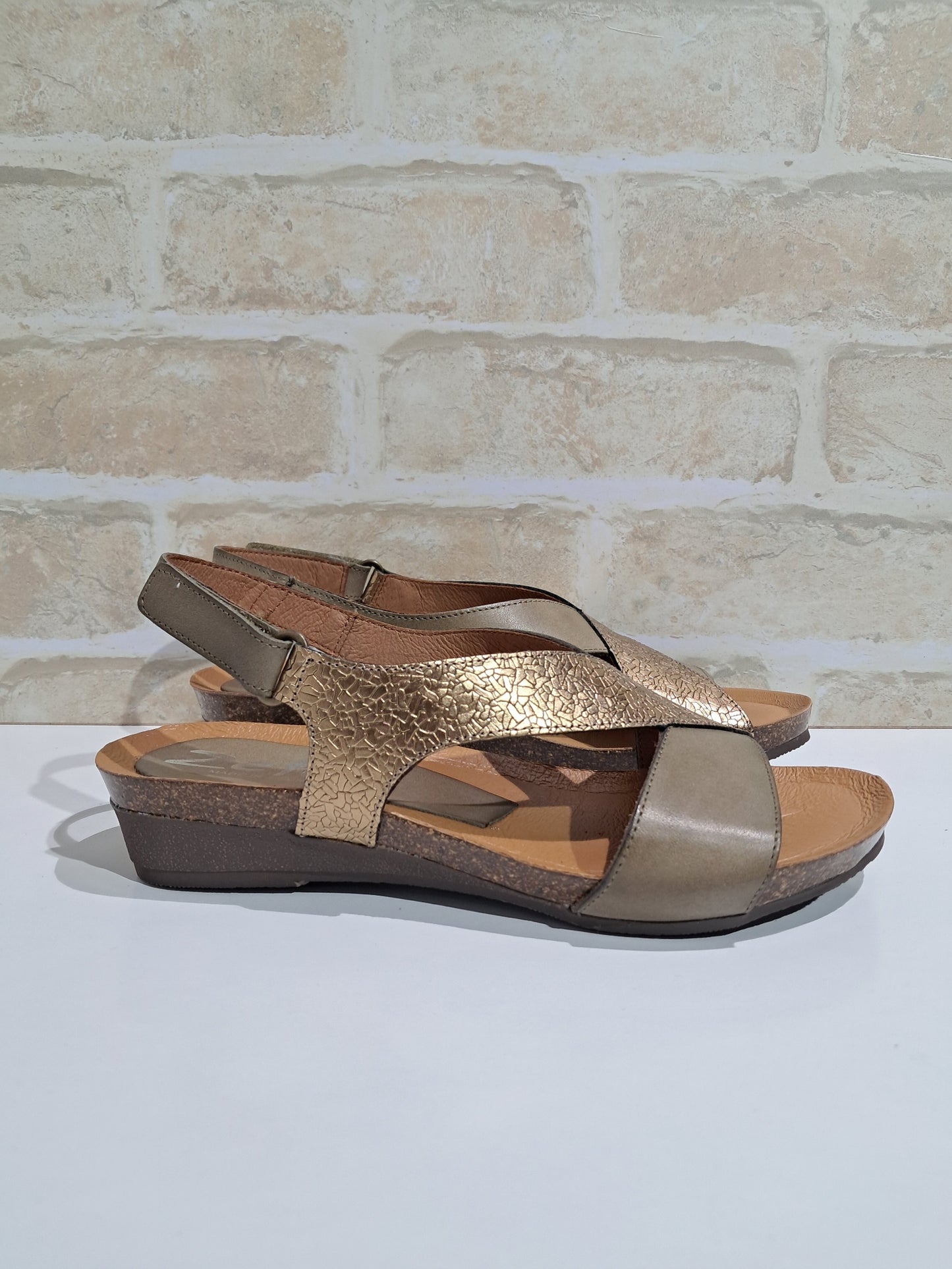 Orion Palma/Ceres/Bronce