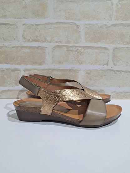 Orion Palma/Ceres/Bronce