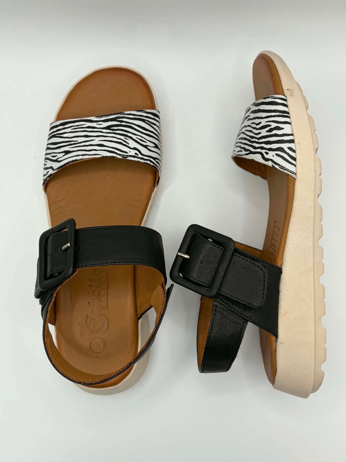 Pepe Zebra Print