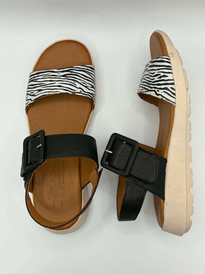 Pepe Zebra Print