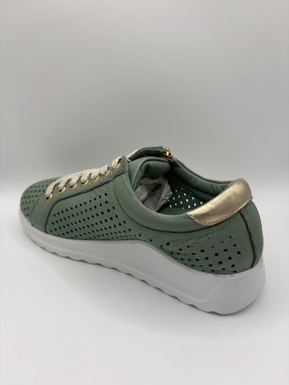 EG256 Emerald