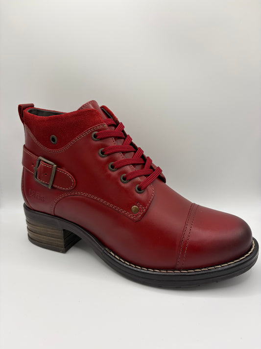 Mini Crave Red
