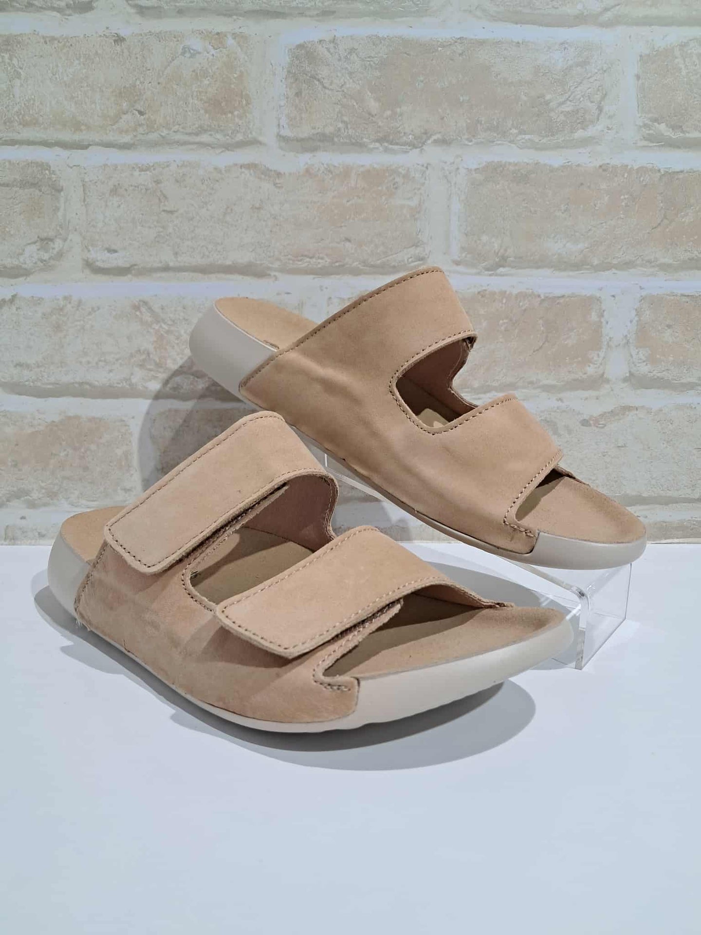 Evola Tan
