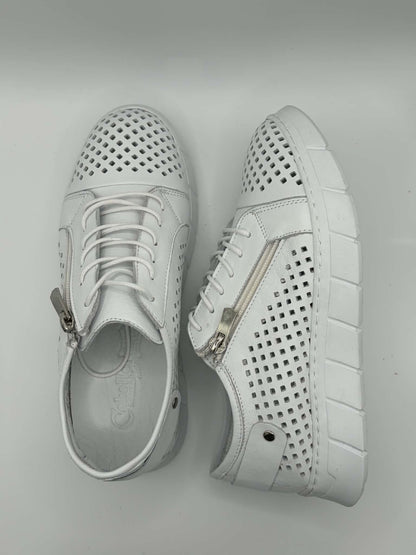 EG172 White
