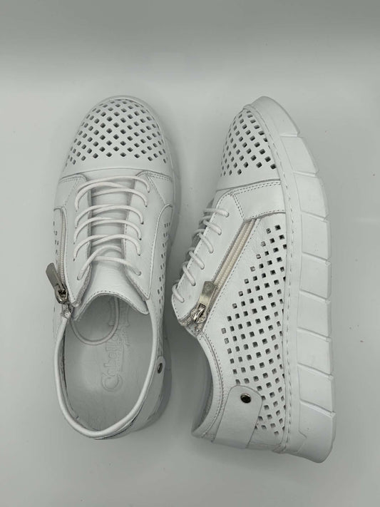 EG172 White