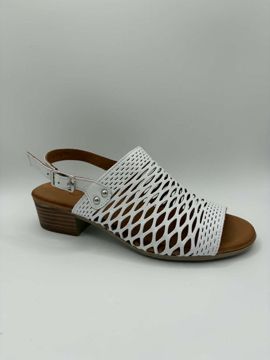 Alaca White