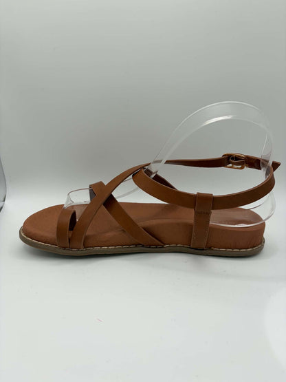 Miller Tan