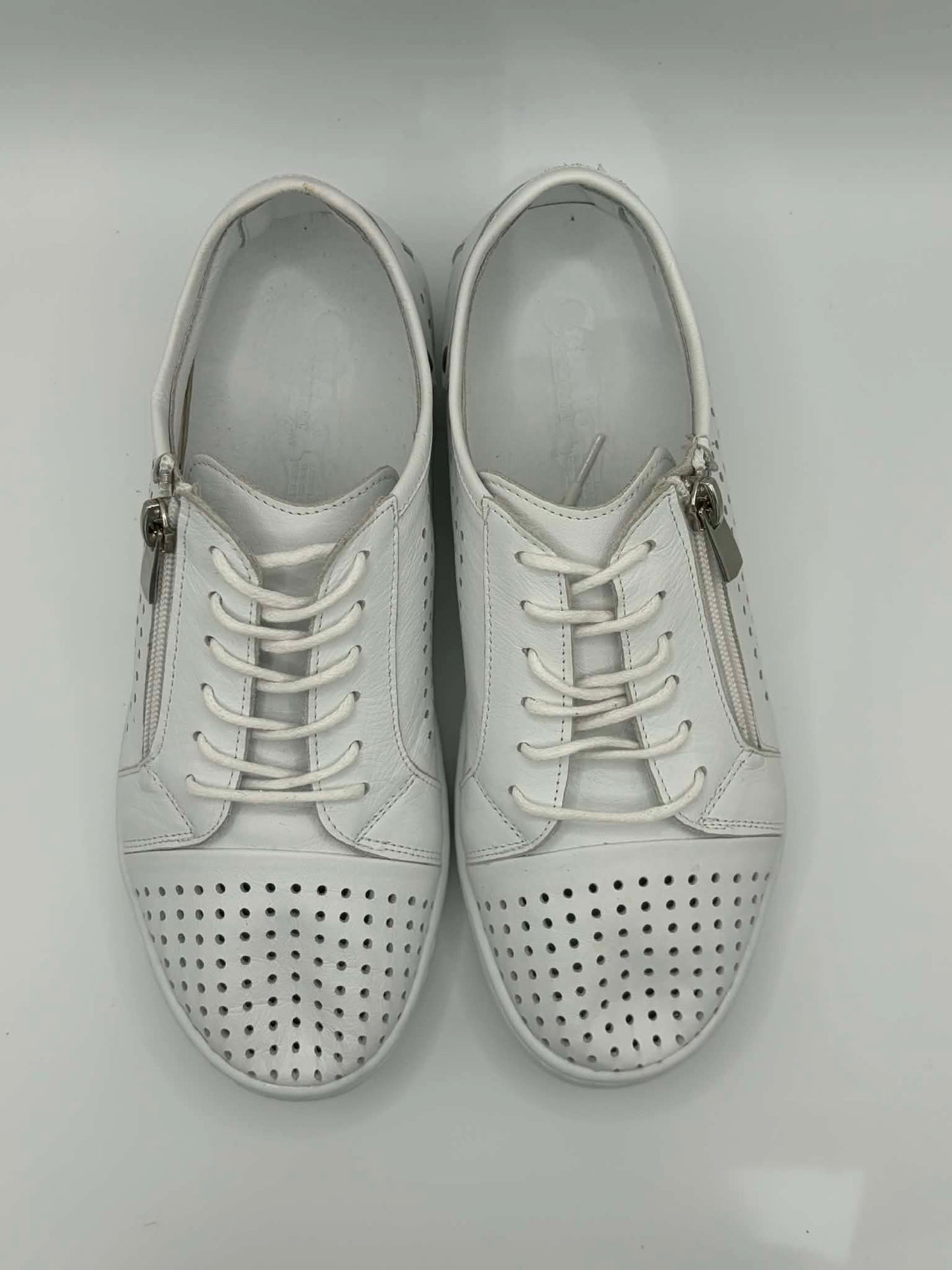 EG17 White