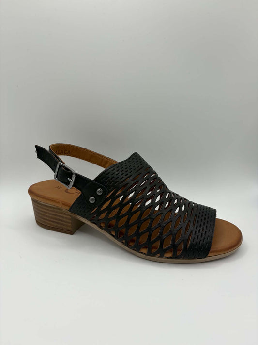 Alaca Black